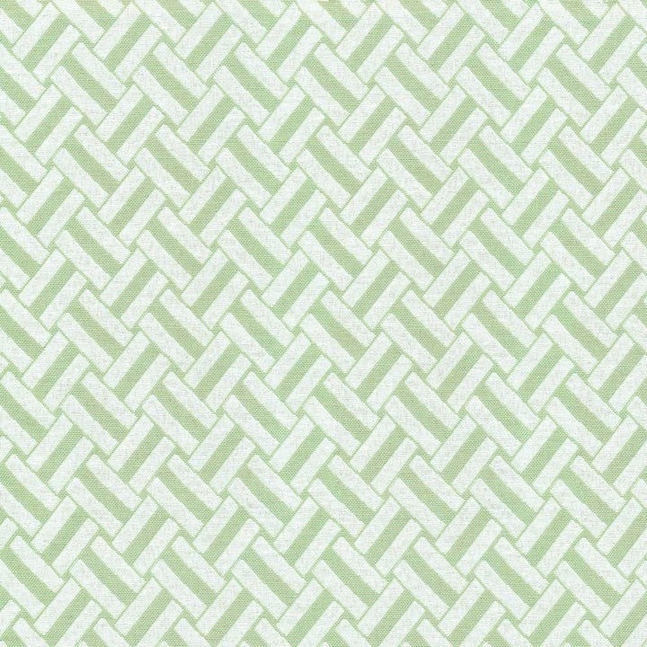Crosshatch Celery by Kasmir Fabric 1368 59% Cotton
41% Polyester
 CHINA 30,000 Wyzenbeek Double Rubs </p><p>Repeat: Horizontal: 1 4/8 inches and Vertical: 1 4/8 inches 56 - Fabric Carolina -