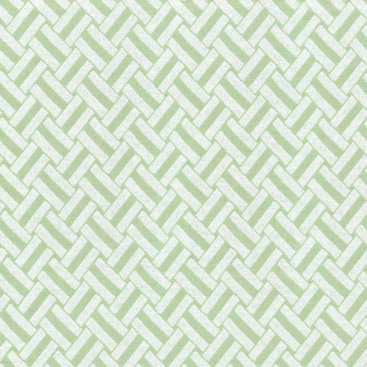 Crosshatch Celery by Kasmir Fabric 1368 59% Cotton 41% Polyester CHINA 30,000 Wyzenbeek Double Rubs H: 1 4/8 inches, V:1 4/8 inches 56 - 58 - Fabric Carolina - Kasmir