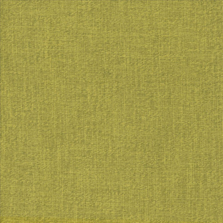 Crossing Sprig by Kasmir Fabric 5159 100% Polyester
 INDIA </p><p>Repeat: Horizontal: N/A and Vertical: N/A 54 - Fabric Carolina -