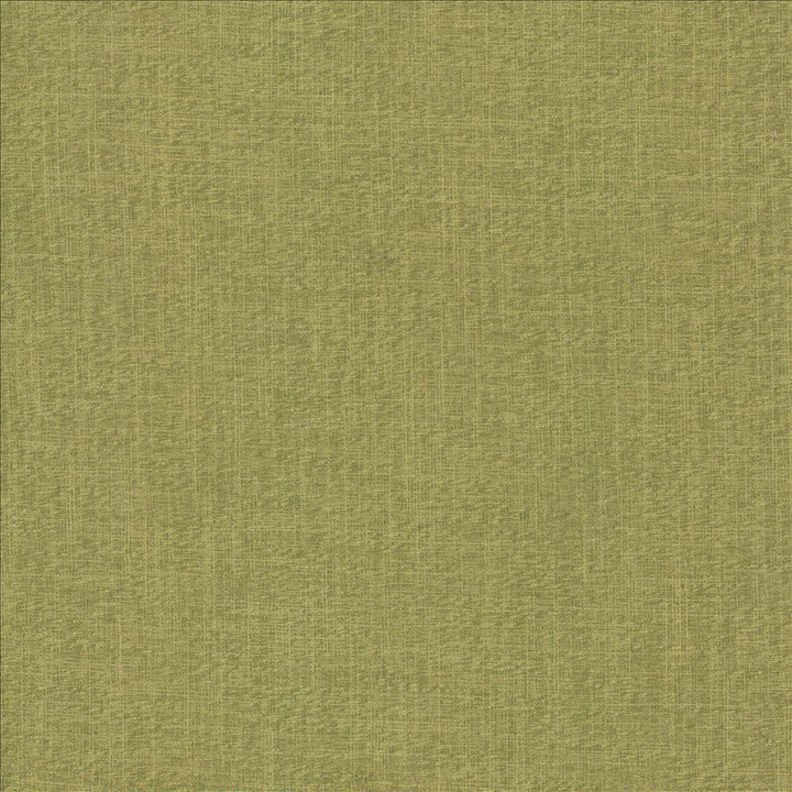 Crossing Sprig by Kasmir Fabric 5159 100% Polyester INDIA 50,000 Wyzenbeek Double Rubs Horizontal: 0 Inches and Vertical: 0 Inches 54 - Fabric Carolina -