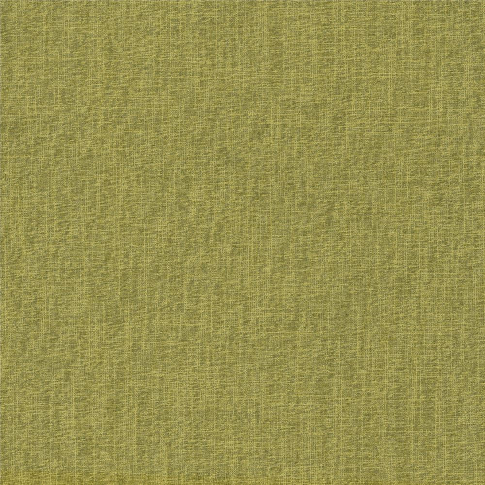Crossing Sprig by Kasmir Fabric 5159 100% Polyester
 INDIA 50,000 Wyzenbeek Double Rubs </p><p>Repeat: Horizontal: N/A and Vertical: N/A 54 - Fabric Carolina -