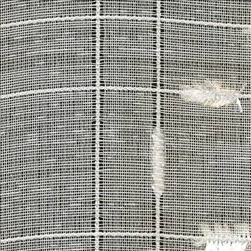 Crosstown Sheer Vanilla by Kasmir Fabric 5012 100% Polyester TURKEY Not Tested H: 4 inches, V: 4 3/8 inches 59 - 60 - Fabric Carolina - Kasmir