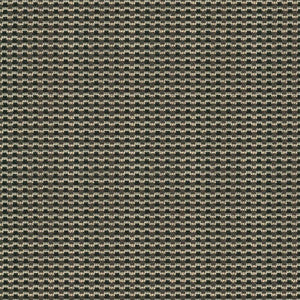 Crossword Ebony by Kasmir Fabric