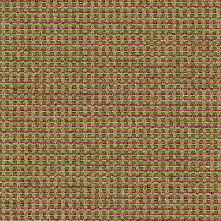 Crossword Kiwi by Kasmir Fabric 1424 59% Polyester 21% Rayon 19% Cotton 1% Nylon USA 45,000 Wyzenbeek Double Rubs H: 5/8 inches, V:4/8 inches 55 - 56 - Fabric Carolina - Kasmir