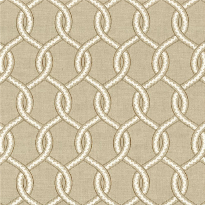 Curiosities Latte by Kasmir Fabric 1462 73% Cotton
27% Polyester
 INDIA 30,000 Wyzenbeek Double Rubs </p><p>Repeat: Horizontal: 4 4/8 inches and Vertical: 9 4/8 inches 53 - Fabric Carolina -