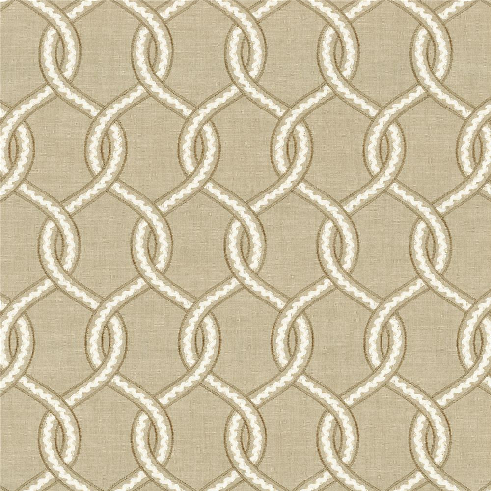 Curiosities Latte by Kasmir Fabric 1462 73% Cotton
27% Polyester
 INDIA 30,000 Wyzenbeek Double Rubs Horizontal: 4 4/8 inches and Vertical: 9 4/8 inches 55 - Fabric Carolina -