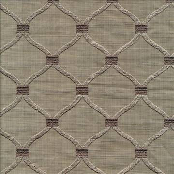 Curvatious Fog by Kasmir Fabric 1369 65% Cotton 35% Polyester INDIA 10,000 Wyzenbeek Double Rubs H: 2 6/8 inches, V: 3 inches 54 - Fabric Carolina - Kasmir