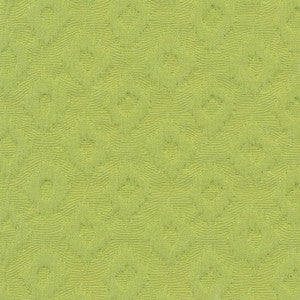 Cutie Patootie Fern by Kasmir Fabric