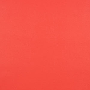 10200-0016 Capriccio Logo Red by Sunbrella Fabric