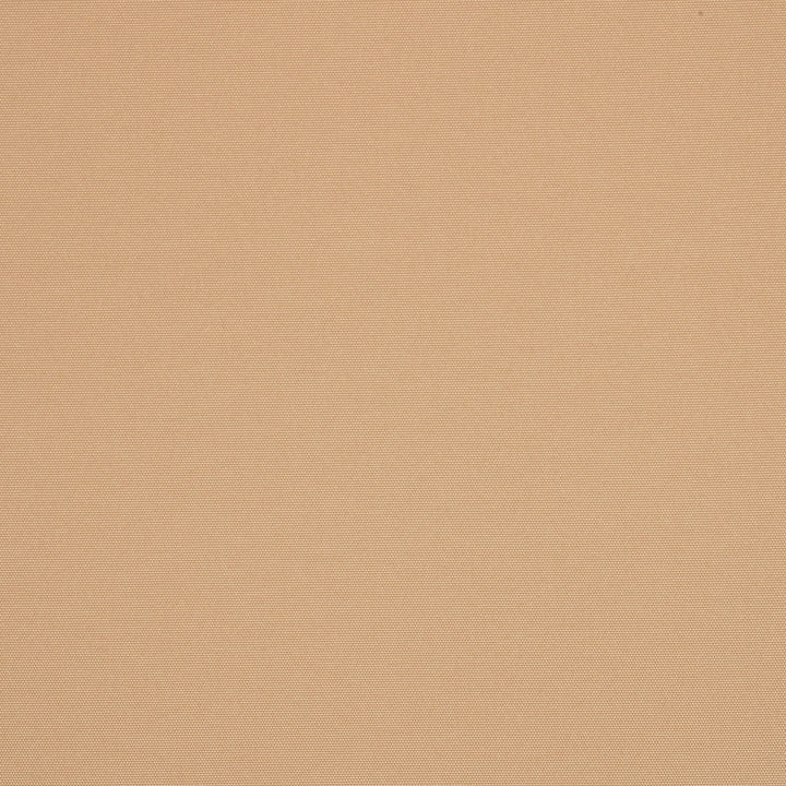 82012 Toasty Beige by Sunbrella Fabric Firesist Solution Dyed Polyester USA or Imported 5-Year Horizontal: and Vertical: 60 in. - Fabric Carolina -