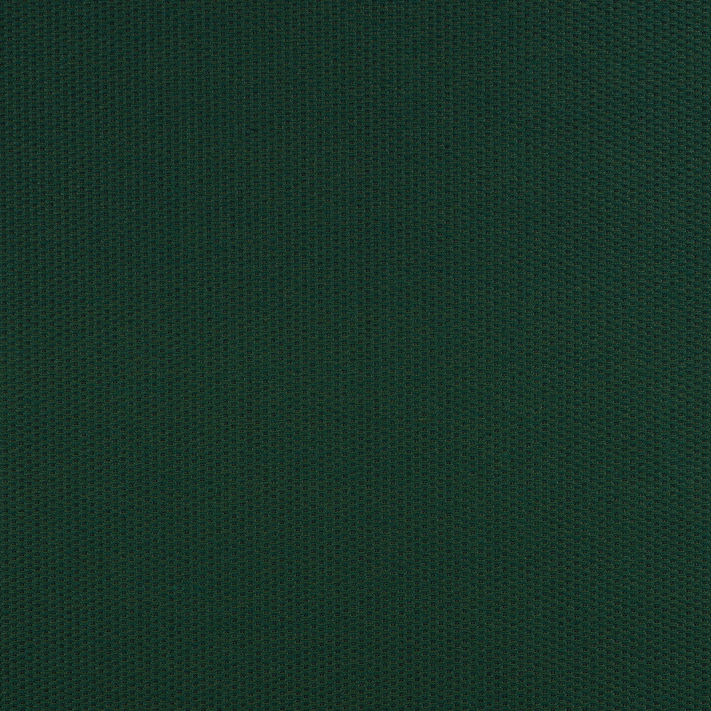 40421-0049 Pique Ivy by Sunbrella Fabric Sunbrella Fusion Sunbrella® Acrylic, Sunbrella® Polyester USA or Imported 5-Year Horizontal: and Vertical: 60 yd. 54 in. - Fabric Carolina -