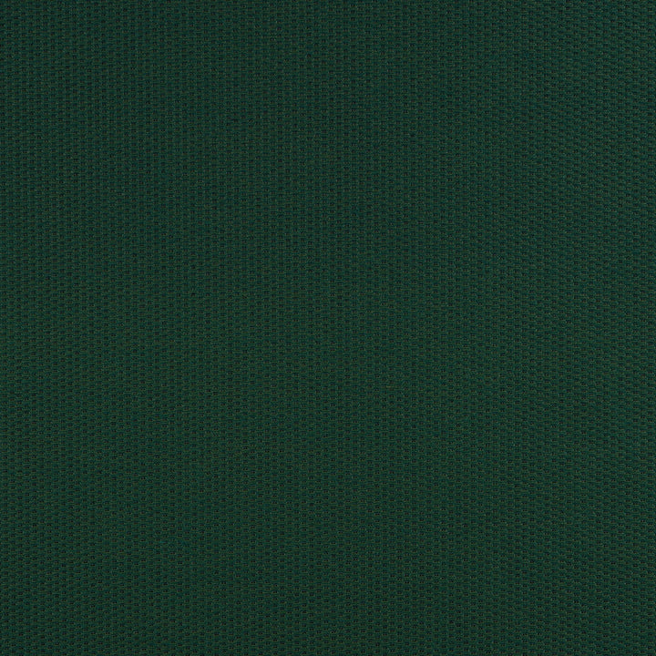 40421-0049 Pique Ivy by Sunbrella Fabric Sunbrella Fusion Sunbrella® Acrylic, Sunbrella® Polyester USA or Imported 5-Year Horizontal: and Vertical: 60 yd. 54 in. - Fabric Carolina -