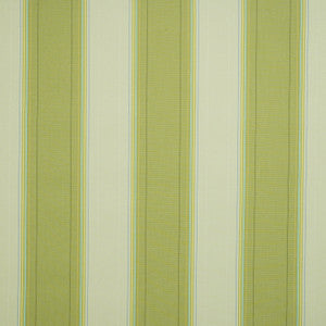 8630 Boston Lime / Mint (Genoa) by Sunbrella Fabric