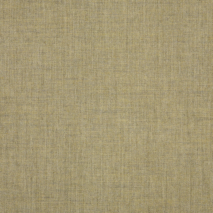 40435 Cast Tinsel by Sunbrella Fabric Sunbrella Acrylic USA or Imported 5-Year Horizontal: and Vertical: 60 yd. 54 in. - Fabric Carolina -