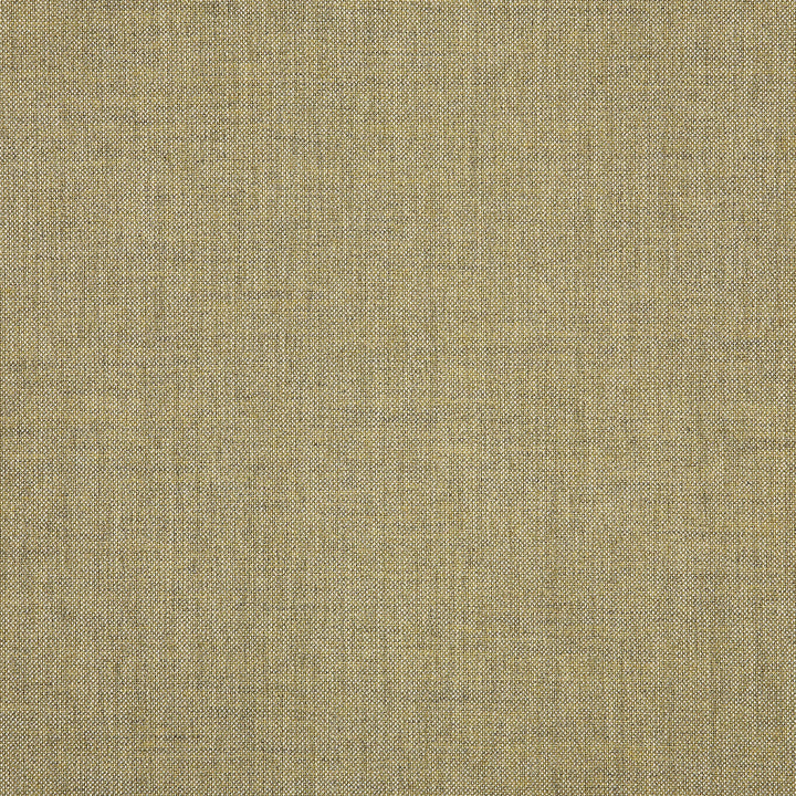 40435 Cast Tinsel by Sunbrella Fabric Sunbrella Acrylic USA or Imported 5-Year Horizontal: and Vertical: 60 yd. 54 in. - Fabric Carolina -