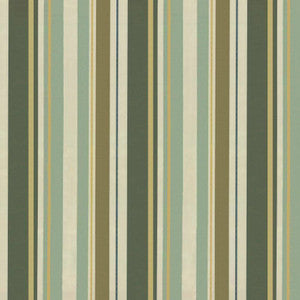Danbury Stripe Bermuda by Kasmir Fabric