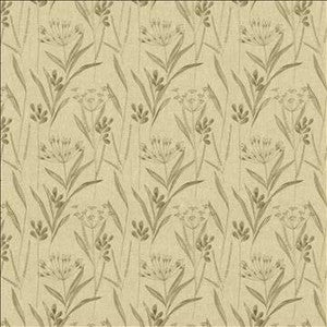 Dandy Park Flax by Kasmir Fabric