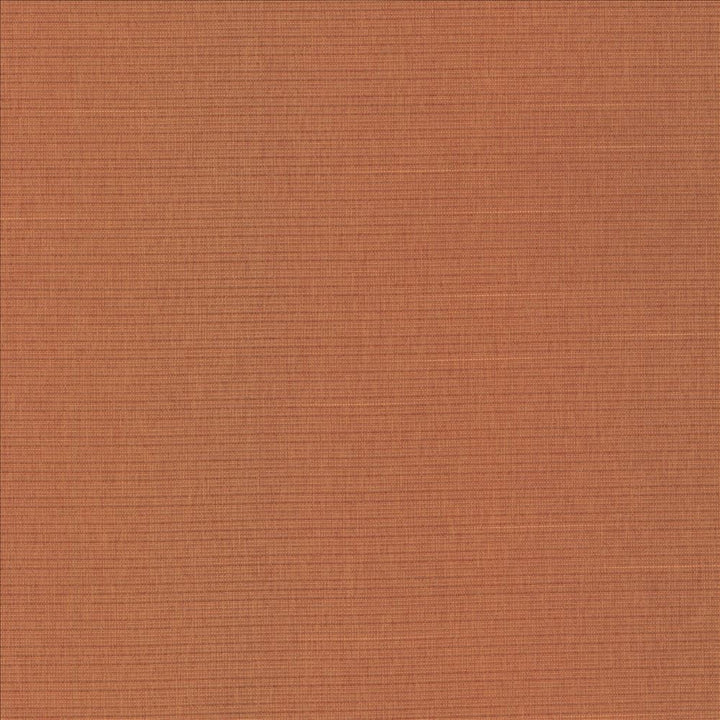 Danica Orange Crush  by Kasmir Fabric See sample 100% Polyester
 TAIWAN 30,000 Wyzenbeek Double Rubs </p><p>Repeat: Horizontal: N/A and Vertical: N/A 54  - Fabric Carolina -