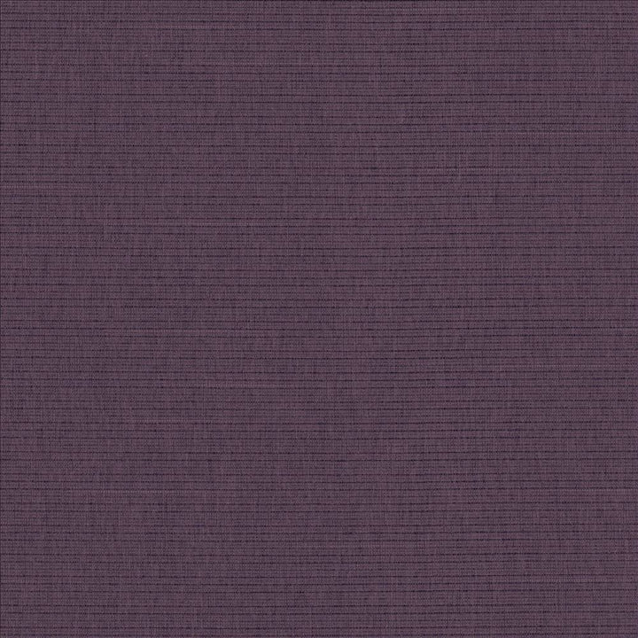 Danica Plum  by Kasmir Fabric See sample 100% Polyester
 TAIWAN 30,000 Wyzenbeek Double Rubs </p><p>Repeat: Horizontal: N/A and Vertical: N/A 54  - Fabric Carolina -