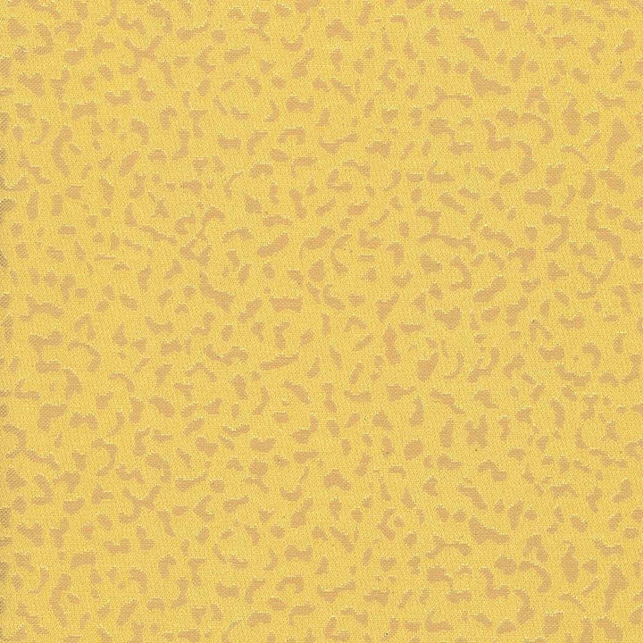 Dapple Texture Golden Glow by Kasmir Fabric 5069 50% Cotton 50% Polyester CHINA 100,000 Wyzenbeek Double Rubs Horizontal: 14 4/8 inches and Vertical: 7 6/8 inches 54 - 56 - Fabric Carolina -