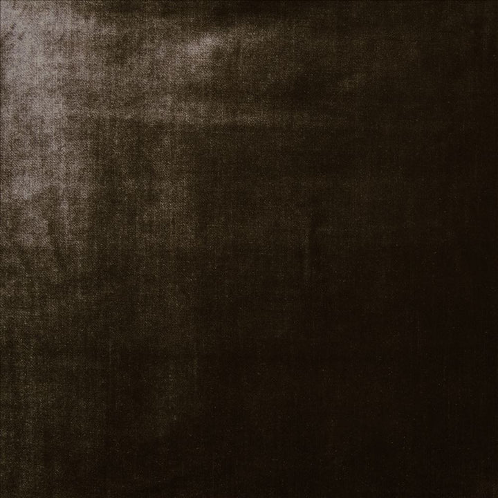 Daring Brown  by Kasmir Fabric 5182 100% Polyester  CHINA  </p><p>Repeat: Horizontal: N/A and Vertical: N/A 55  - Fabric Carolina -