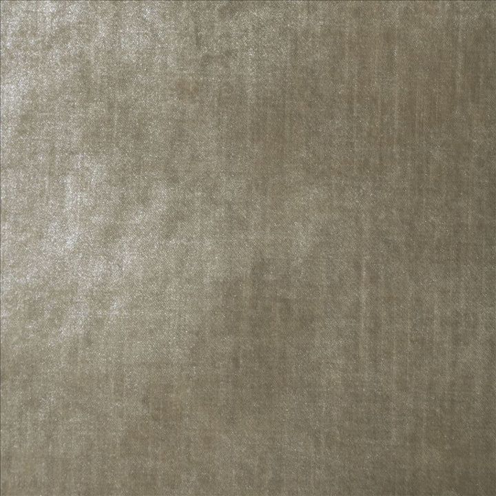 Daring Champagne  by Kasmir Fabric 5182 100% Polyester  CHINA  </p><p>Repeat: Horizontal: N/A and Vertical: N/A 55  - Fabric Carolina -