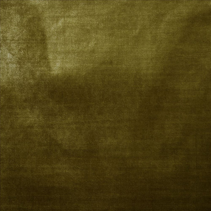 Daring Citronella  by Kasmir Fabric 5182 100% Polyester  CHINA  </p><p>Repeat: Horizontal: N/A and Vertical: N/A 55  - Fabric Carolina -