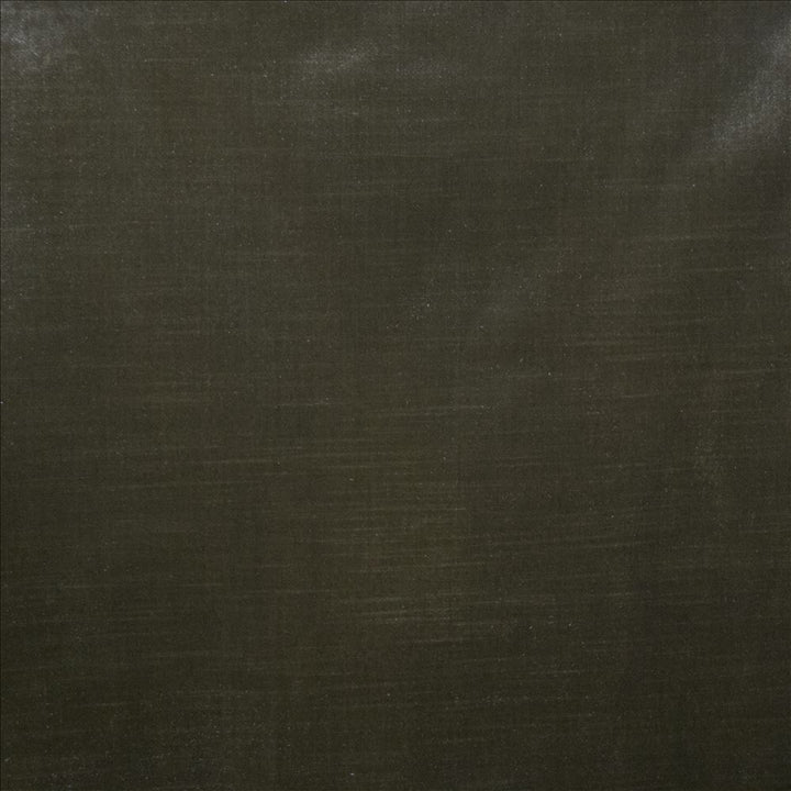 Daring Latte  by Kasmir Fabric 5182 100% Polyester  CHINA  </p><p>Repeat: Horizontal: N/A and Vertical: N/A 55  - Fabric Carolina -