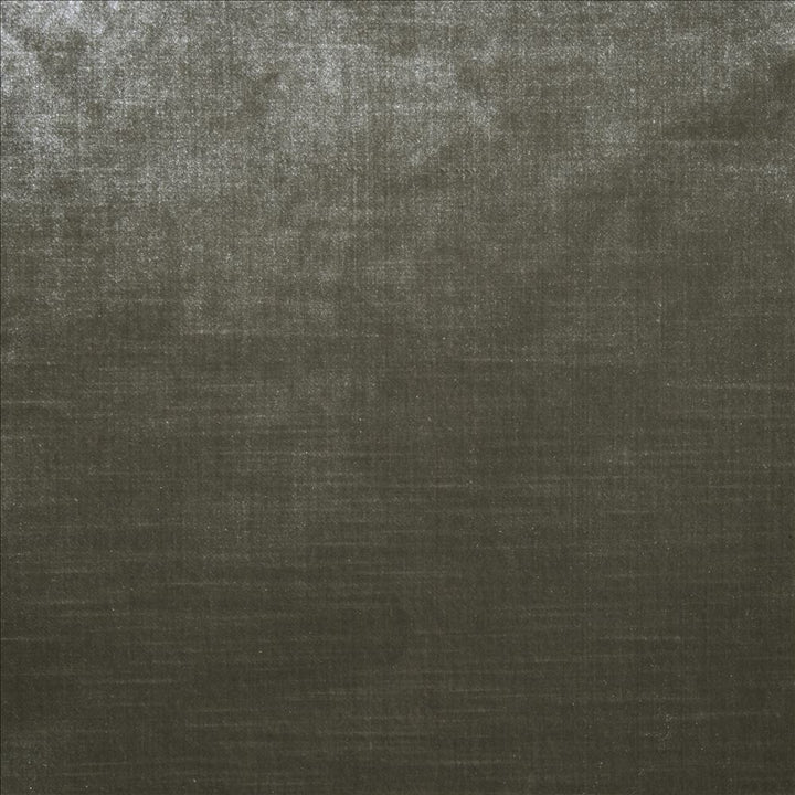Daring Otter  by Kasmir Fabric 5182 100% Polyester  CHINA  </p><p>Repeat: Horizontal: N/A and Vertical: N/A 55  - Fabric Carolina -