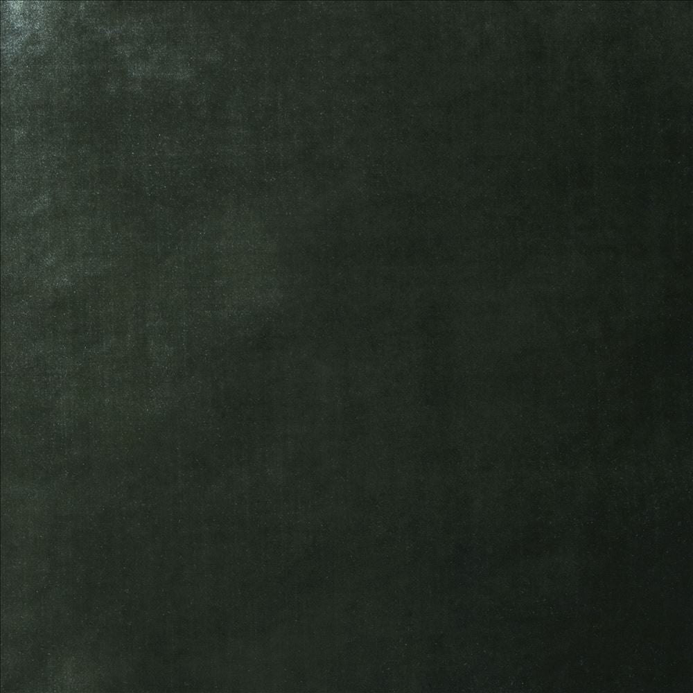 Daring Pine  by Kasmir Fabric 5182 100% Polyester  CHINA  </p><p>Repeat: Horizontal: N/A and Vertical: N/A 55  - Fabric Carolina -