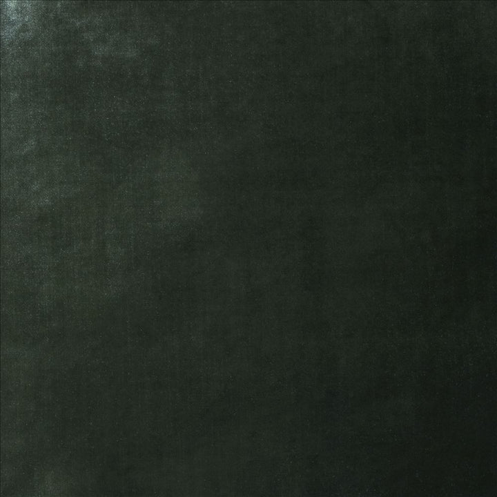 Daring Pine  by Kasmir Fabric 5182 100% Polyester  CHINA  </p><p>Repeat: Horizontal: N/A and Vertical: N/A 55  - Fabric Carolina -
