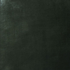 Daring Pine  by Kasmir Fabric