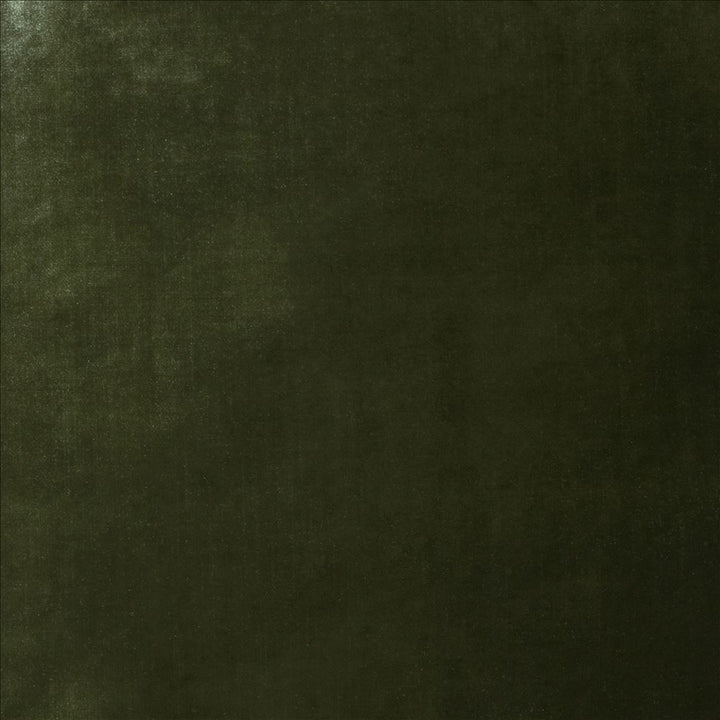 Daring Sage  by Kasmir Fabric 5182 100% Polyester  CHINA  </p><p>Repeat: Horizontal: N/A and Vertical: N/A 55  - Fabric Carolina -