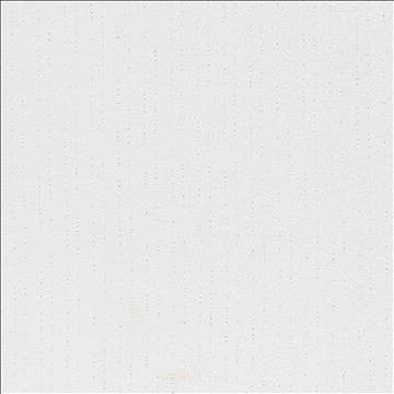 Dashing Stripe White by Kasmir Fabric 5076 100% Polyester TURKEY - H: N/A, V: N/A 117 - 118 - Fabric Carolina - Kasmir