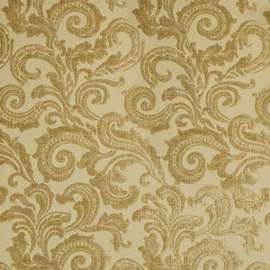 Davenport Scroll Butter by Kasmir Fabric