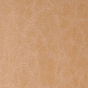 Daytripper Buckskin by Kravet Contract Fabric
