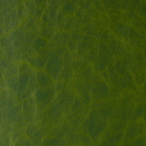 Daytripper Jungle Love by Kravet Contract Fabric