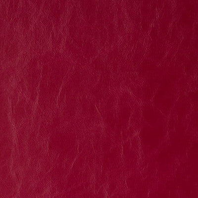 Daytripper Ruby by Kravet Contract Fabric
