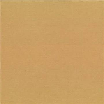 Debonair Almond by Kasmir Fabric 5039 100% Polyester CHINA Not Tested H: N/A, V: N/A 58 - 60 - Fabric Carolina - Kasmir