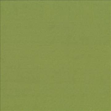 Debonair Avocado by Kasmir Fabric 5039 100% Polyester CHINA Not Tested H: N/A, V: N/A 58 - 60 - Fabric Carolina - Kasmir