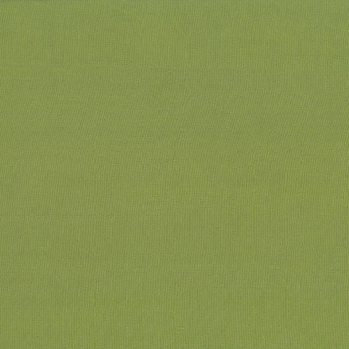 Debonair Avocado by Kasmir Fabric 5039 100% Polyester CHINA Not Tested H: N/A, V:N/A 58 - 60 - Fabric Carolina - Kasmir