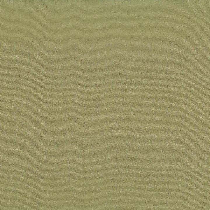 Debonair Brown Sugar by Kasmir Fabric 5039 100% Polyester CHINA Not Tested H: N/A, V:N/A 58 - 60 - Fabric Carolina - Kasmir