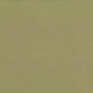 Debonair Brown Sugar by Kasmir Fabric