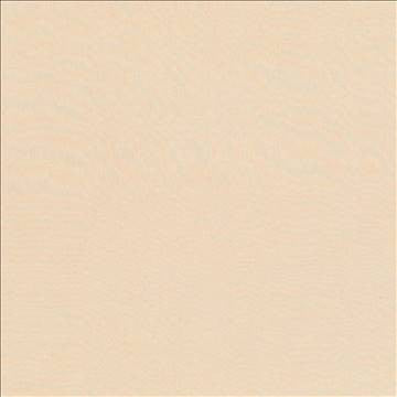 Debonair Chardonnay by Kasmir Fabric 5039 100% Polyester CHINA Not Tested H: N/A, V: N/A 58 - 60 - Fabric Carolina - Kasmir