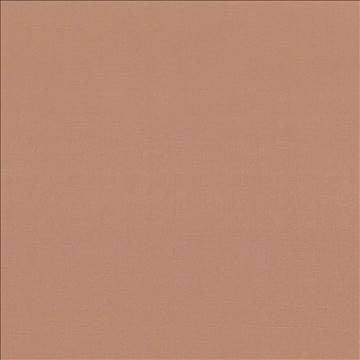 Debonair Cinnamon by Kasmir Fabric 5039 100% Polyester CHINA Not Tested H: N/A, V: N/A 58 - 60 - Fabric Carolina - Kasmir