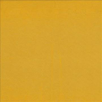 Debonair Citrus by Kasmir Fabric 5039 100% Polyester CHINA Not Tested H: N/A, V: N/A 58 - 60 - Fabric Carolina - Kasmir
