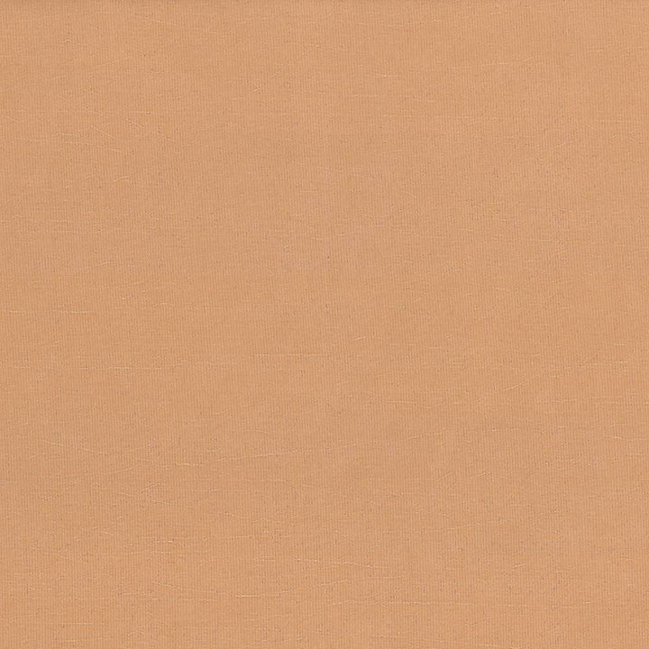 Debonair Clay by Kasmir Fabric 5039 100% Polyester CHINA Not Tested H: N/A, V:N/A 58 - 60 - Fabric Carolina - Kasmir