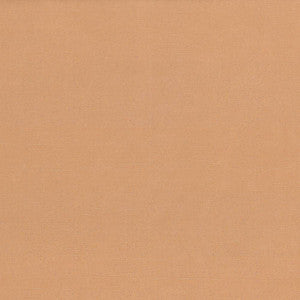 Debonair Clay by Kasmir Fabric