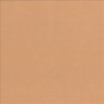 Debonair Clay by Kasmir Fabric 5039 100% Polyester CHINA Not Tested H: N/A, V: N/A 58 - 60 - Fabric Carolina - Kasmir