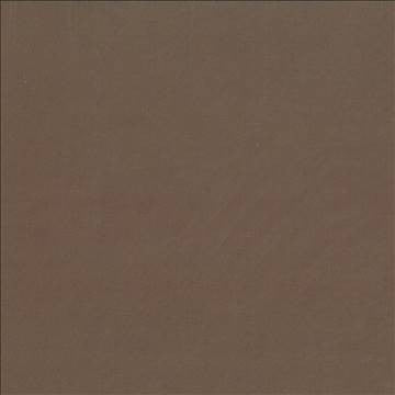 Debonair Espresso by Kasmir Fabric 5039 100% Polyester CHINA Not Tested H: N/A, V: N/A 58 - 60 - Fabric Carolina - Kasmir